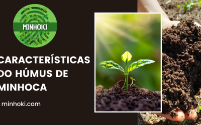 Características do Húmus de minhoca