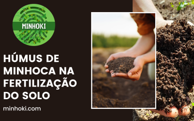 Fertilização do Solo e Húmus de Minhoca