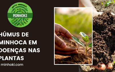 Doenças nas Plantas e Húmus de Minhoca