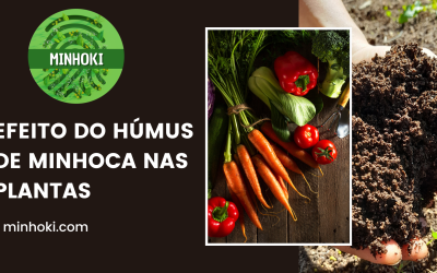 Efeito nas Plantas do Húmus de Minhoca