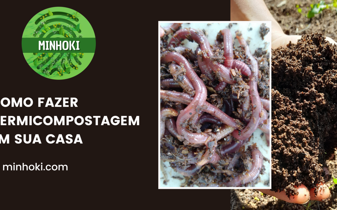 Dica – Como Fazer Vermicompostagem na sua Casa