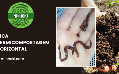 Dica – Vermicompostagem Horizontal