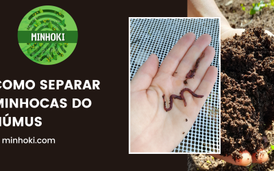 Dica: Como Separar Minhocas do Húmus