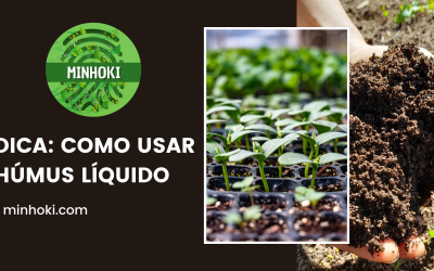 Dica: Como usar Húmus Líquido
